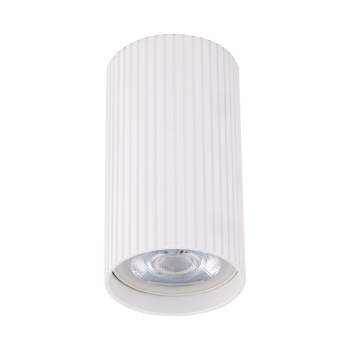 10023  TUNE WHITE S