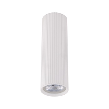10025  TUNE WHITE M