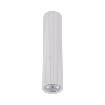 10027  TUNE WHITE L