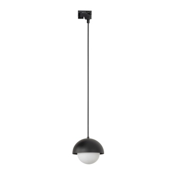 10648  TRACER BONO BLACK