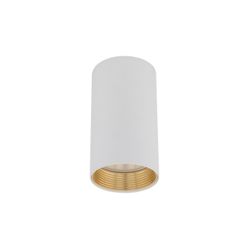 10719  AMIS WHITE  DOWNLIGHT