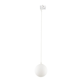 11661 TRACER 2-faasilised WHITE WHITE GLASS 1XG9