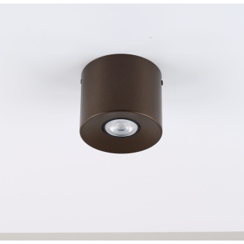 762  ORION S BROWN 1