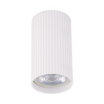 10023  TUNE WHITE S
