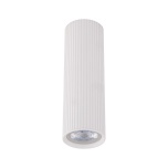 10025  TUNE WHITE M