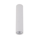 10027  TUNE WHITE L