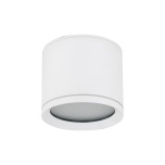 10595  VIVO WHITE GX53