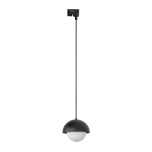 10648  TRACER BONO BLACK