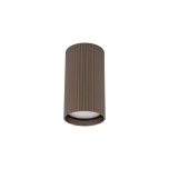 11027  TUNE BROWN S 1XGU10