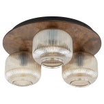 11068  SALVIA BROWN 3XE14