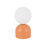 11388 MIKI SALMON ÖÖLAMP 1XG9