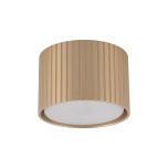 11657 FERRO CHAMPAGNE DOWNLIGHT+ GX53