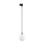 11660 TRACER 3-faasilised BLACK WHITE GLASS 1XG9