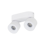 18171  SPARK DUO WHITE CCT 20W