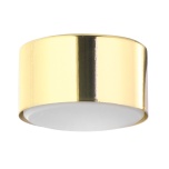 6096  TOP GOLD LAMPA SUFITOWA 1 + GX53