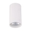 10023  TUNE WHITE S