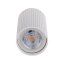 10023  TUNE WHITE S