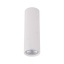 10025  TUNE WHITE M