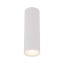 10025  TUNE WHITE M