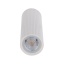 10025  TUNE WHITE M