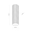 10025  TUNE WHITE M
