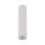 10027  TUNE WHITE L