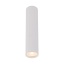 10027  TUNE WHITE L