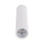 10027  TUNE WHITE L