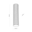 10027  TUNE WHITE L