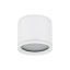 10595  VIVO WHITE GX53
