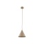 10619  CONO SABIA  1 S
