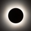 10624  LUNA SABIA 300