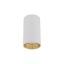 10719  AMIS WHITE  DOWNLIGHT