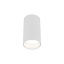 10719  AMIS WHITE  DOWNLIGHT