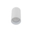 10719  AMIS WHITE  DOWNLIGHT