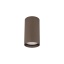 11027  TUNE BROWN S 1XGU10