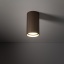 11027  TUNE BROWN S 1XGU10