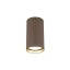 11027  TUNE BROWN S 1XGU10