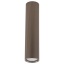 11029  TUNE BROWN L 1XGU10