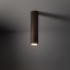11029  TUNE BROWN L 1XGU10
