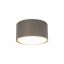 11062 TOP NEW BROWN LAELAMP 1XGX53