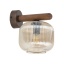 11067  SALVIA BROWN 1XE14