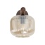 11067  SALVIA BROWN 1XE14