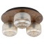 11068  SALVIA BROWN 3XE14