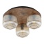 11068  SALVIA BROWN 3XE14