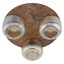 11068  SALVIA BROWN 3XE14