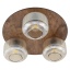 11068  SALVIA BROWN 3XE14