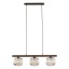 11069  SALVIA BROWN 3XE14