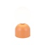 11388 MIKI SALMON ÖÖLAMP 1XG9