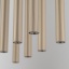 11491 FERRO SABIA CHAMPAGNE RIPPUVAD 10XG9